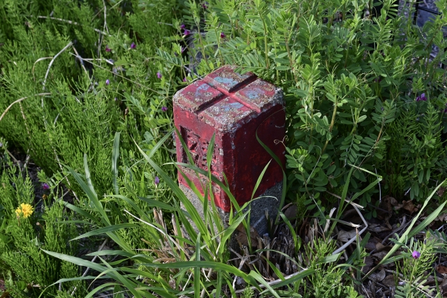 境界トラブルの相談、最初の電話で何を伝えればいい？専門家が答えるQA