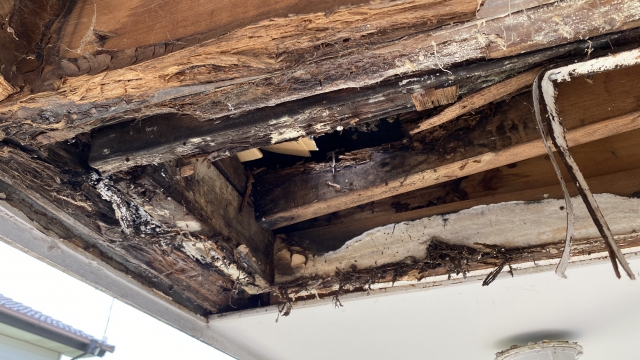 雨漏りと白蟻が同時に出た戸建て、買っても大丈夫？修繕費と線引きの考え方.